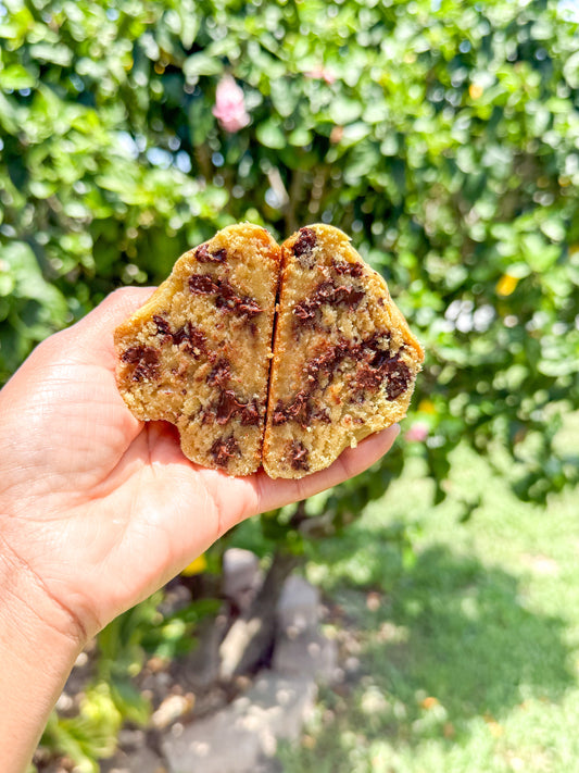 Chocolate Chip