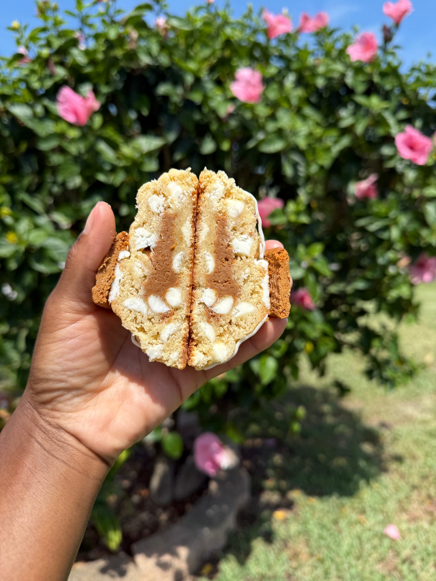 JB Cheerleading Fundraiser Box